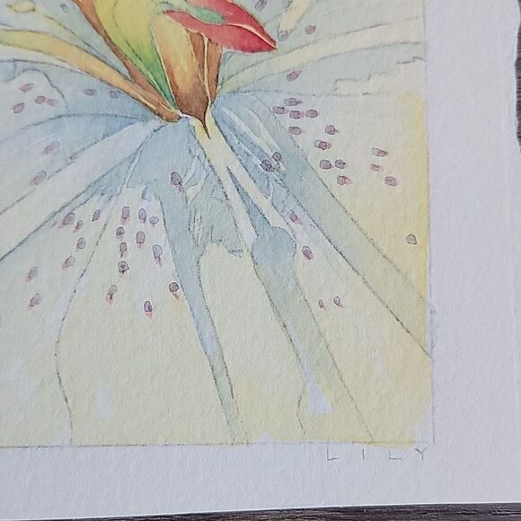 Original watercolor close up of a tiger Lilly titled " LILY " signed on back - Picture 4 of 8